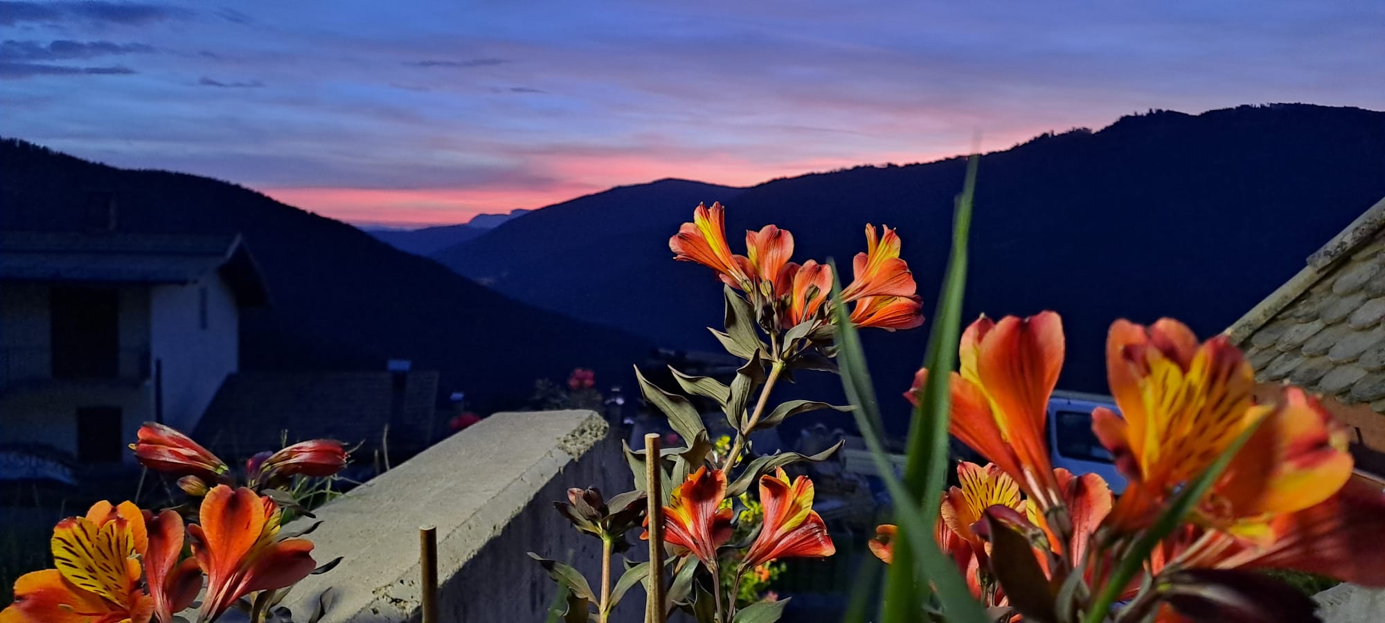 Fiori e montagne al tramonto