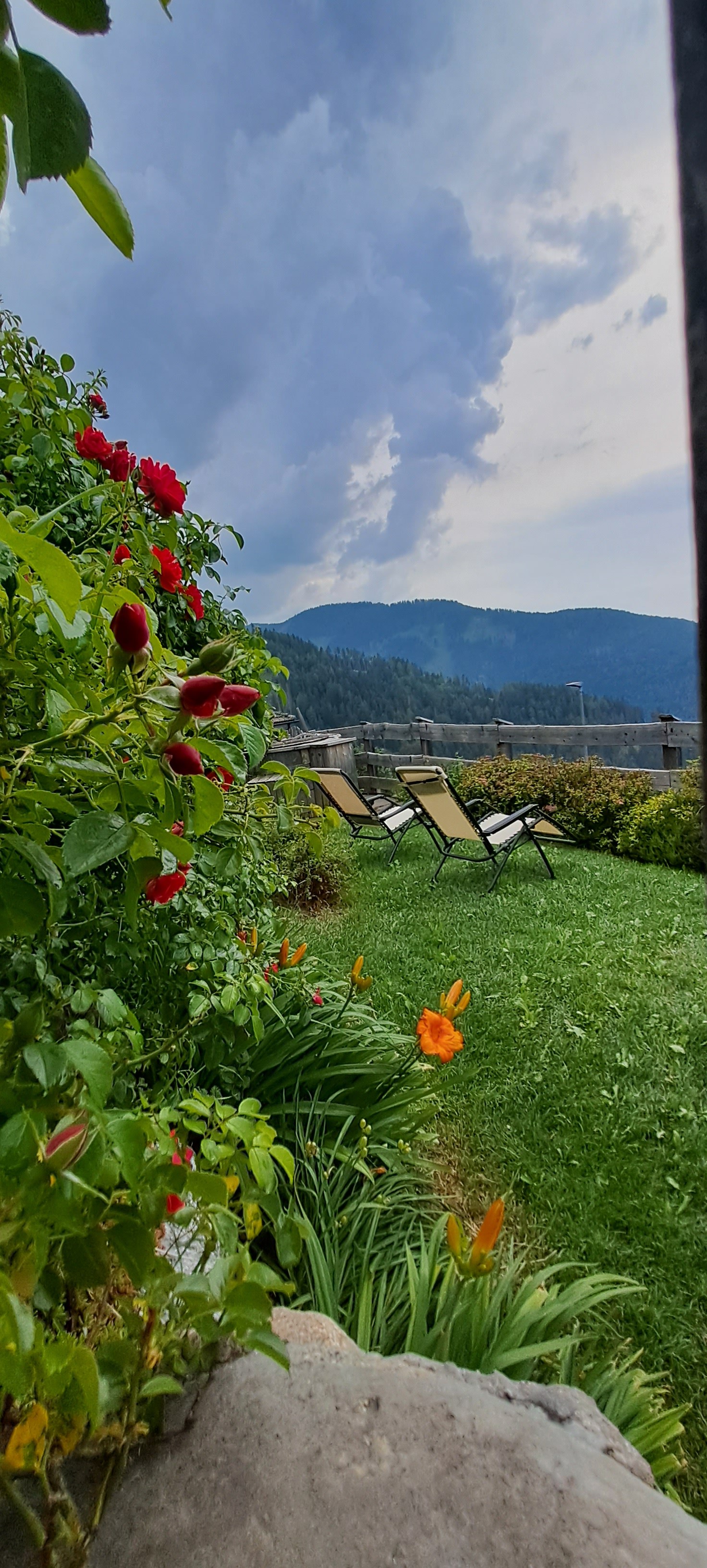 Blumen und Panoramagarten
