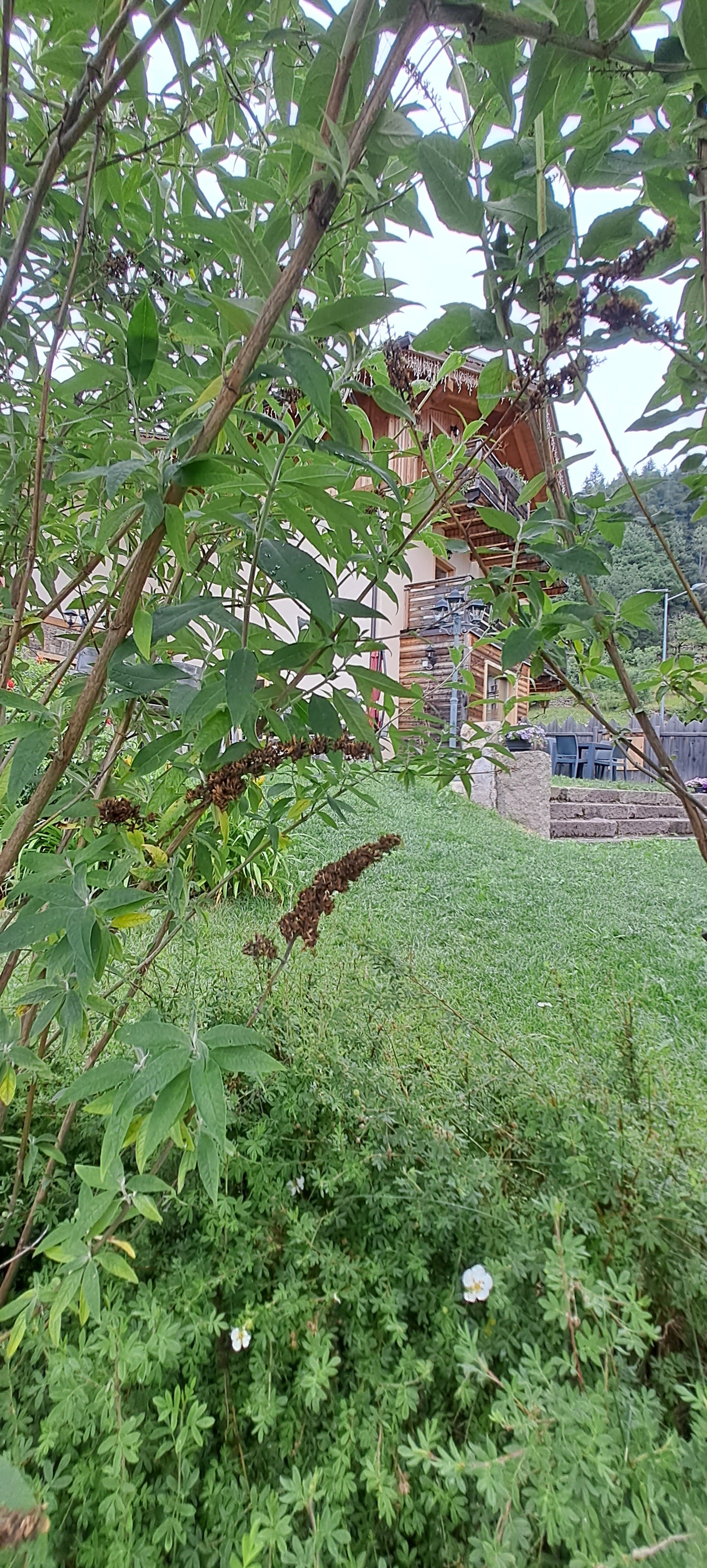 Chalet vom Garten aus gesehen